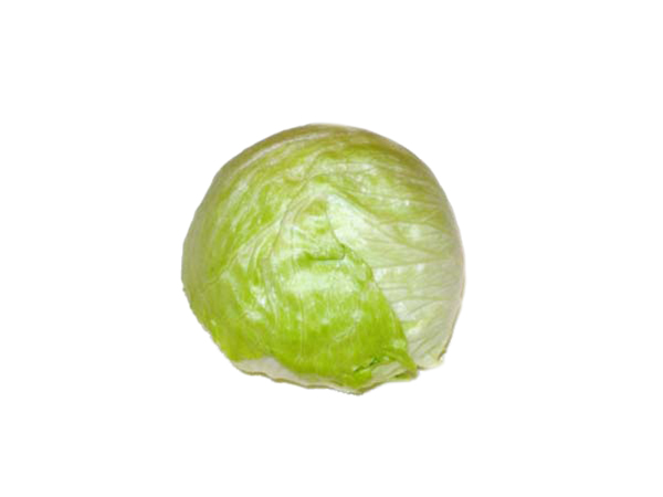 Iceberg lettuce